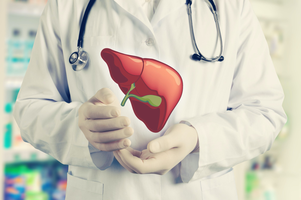 Photo hands of a doctor in a uniform hold a liver
